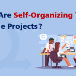 Self-organizing-teams-in-agile-projects