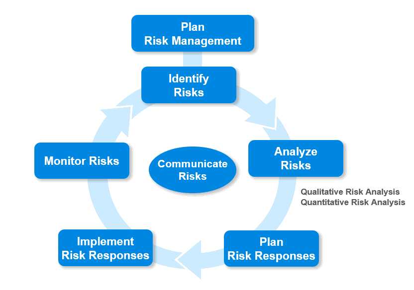 Project Risk Management Roland Wanner